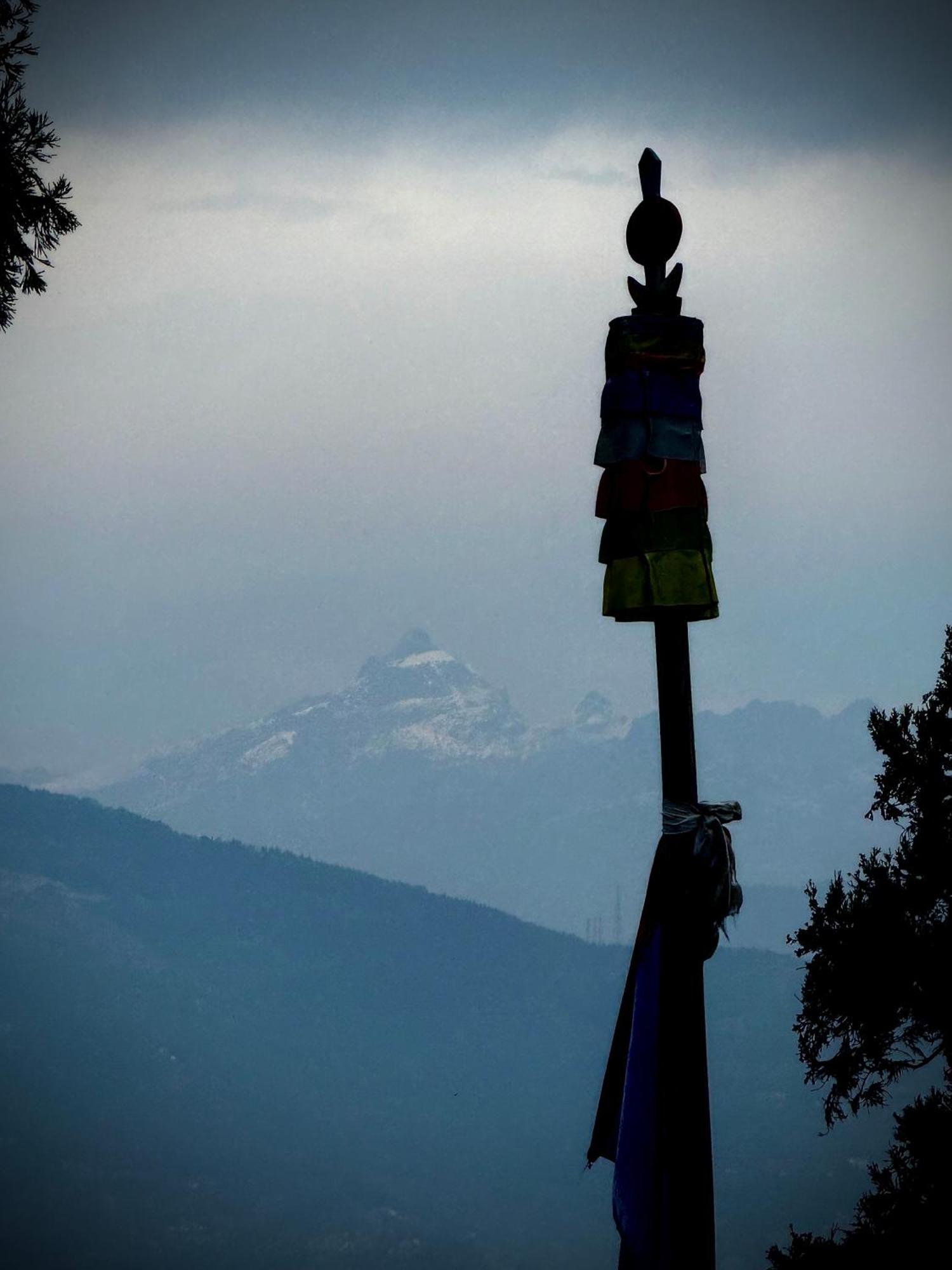 Maple Homestay Kalimpong Eksteriør billede